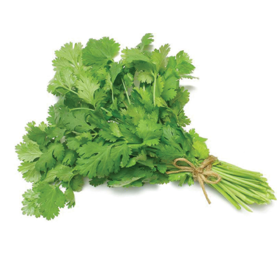 Coriander Leaf (धनिया पत्ता)